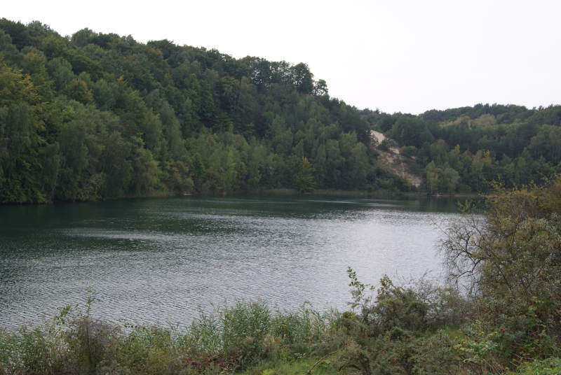 DSC00270