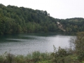 DSC00270