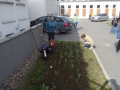 porzadki_001