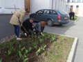 porzadki_002
