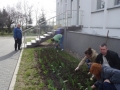 porzadki_003