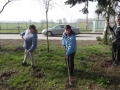 porzadki_006