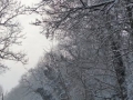 spacer_010-940x198